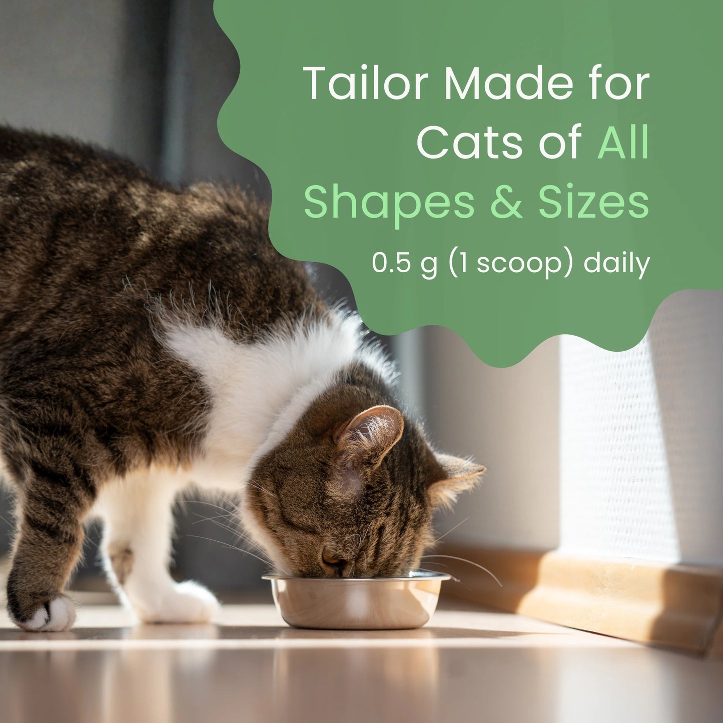 Pawjevity™- Green Lipped Mussel Powder