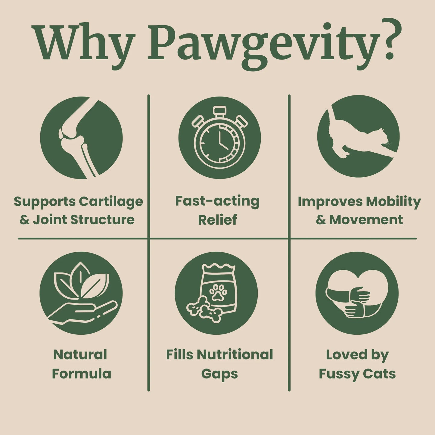 Pawgevity™- Advanced Joint Support Powder