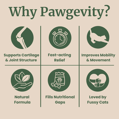 Pawgevity™- Advanced Joint Support Powder