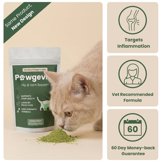 Pawgevity™- Advanced Joint Support Powder