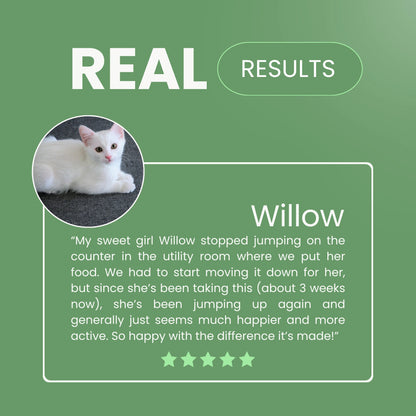 Pawjevity™- Green Lipped Mussel Powder