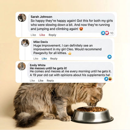 Pawgevity™- Advanced Joint Support Powder