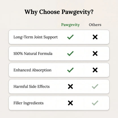 Pawgevity™- Advanced Joint Support Powder